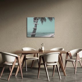 Obraz - Palma v Karibiku (70x50 cm)