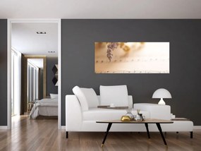 Obraz - Pieseň (120x50 cm)