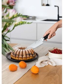 Santoku nôž z nehrdzavejúcej ocele Trino – FABINI