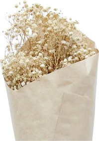 Dekorácia sušená kvetina Baby's Breath Flowers - 77 cm