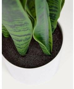 Umelá rastlina (výška 55 cm) Sansevieria – Kave Home