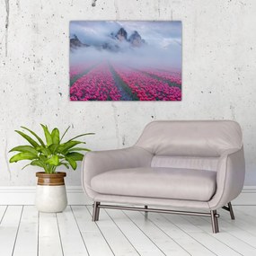 Obraz - Krajina s tulipánovými poľami (70x50 cm)