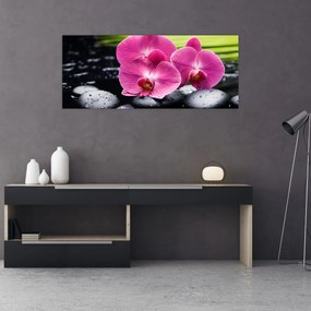 Obraz - Ružové orchidey s palmovým listom (120x50 cm)