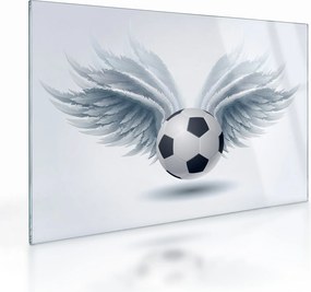 Sklenený obraz - Balón s krídlami (70x50 cm)
