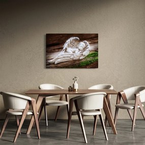 Obraz - Spiaci anjelik (90x60 cm)