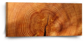 Sablio Obraz Drevo 2 - 110x50 cm