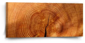 Sablio Obraz Drevo 2 - 110x50 cm