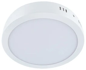 STRÜHM Prisadené stropné svietidlo MARTIN LED C WHITE 24W Neutral White 2907