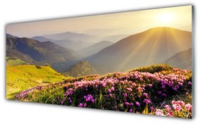Obraz plexi Hora lúka krajina 125x50 cm