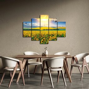 Obraz - Pole slnečníc (150x105 cm)