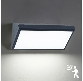 Brilagi - LED Vonkajšie nástenné svietidlo so senzorom TRIANGLE LED/20W/230V antr.