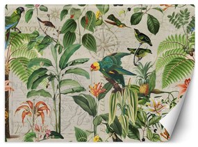 Gario Fototapeta Zelené vtáky v trópoch - Andrea Haase Materiál: Vliesová, Rozmery: 200 x 140 cm
