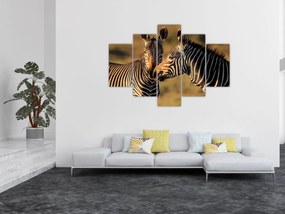 Obraz - Dve zebry (150x105 cm)
