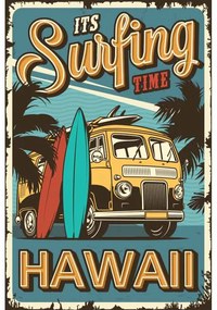 Ceduľa It is Surfing Time Hawaii