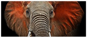Obraz - Slony z Tsavo (120x50 cm)