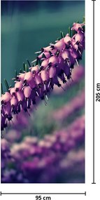 Fototapeta na dvere - Fialové kvety (95x205cm)