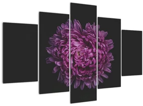 Obraz fialovej kvetiny (150x105 cm)