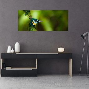 Obraz páva (120x50 cm)