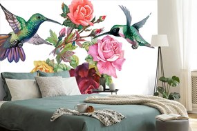 Nádherná samolepiaca tapeta lietajúce kolibríky pri kvetoch