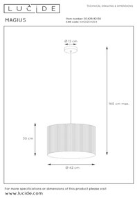 Lucide 03429/42/30 - Luster na lanku MAGIUS 1xE27/40W/230V