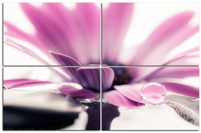Obraz na plátne - Kvapka rosy na lúpeňoch kvetu 180D (150x100 cm)