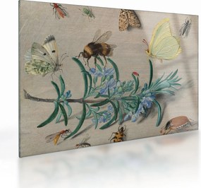 Sklenený obraz - Jan van Kessel the Elder, Insects and a Sprig of Rosemary, reprodukcia (70x50 cm)