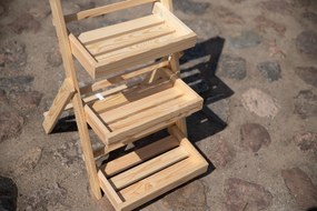 TvojRegal DREVENÝ STOJAN NA KVETY RDEZ_070X39X48_NAPT