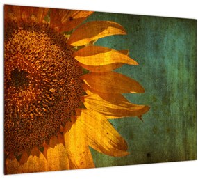 Sklenený obraz - Slnečnica (70x50 cm)
