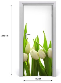 Fototapeta na dvere biele tulipány 85x205 cm