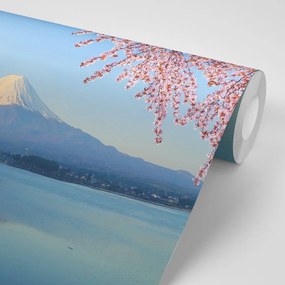 Samolepiaca fototapeta výhľad z jazera na Fuji - 150x100