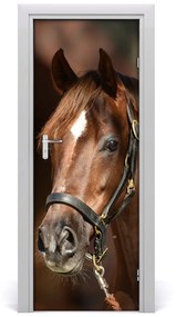 Samolepiace fototapety na dvere kôň portrét 75x205 cm