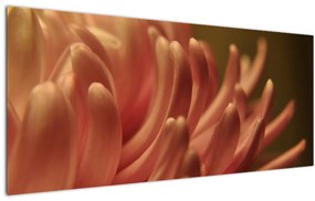 Obraz detailu kvety (120x50 cm)