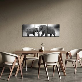 Obraz - čiernobiele slony (s hodinami) (90x30 cm)