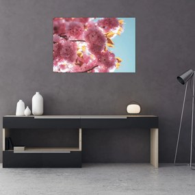 Obraz - Čerešňový kvet (90x60 cm)