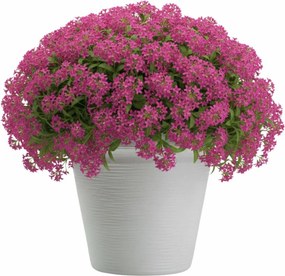 Plastový kvetináč Riflo 40x46 cm biely