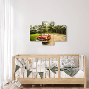 Obraz - auto veterán v prírode (90x60 cm)