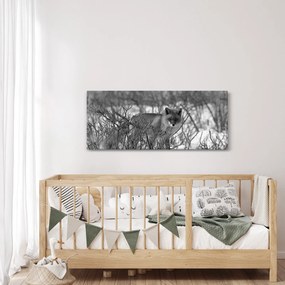 Obraz - Líška v zime (120x50 cm)