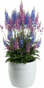 PLASTOVÝ KVETINÁČ LUNA CLASSIC 33X30 CM BIELA