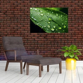 Obraz - List po daždi (90x60 cm)