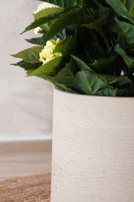 Kvetináč TROPICO, sklolaminát, výška 38 cm, béžová