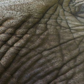 Obraz - Detailné fotografie starého slonieho oka (90x60 cm)