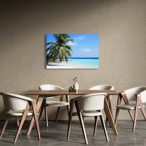 Obraz palmy na pláži (90x60 cm)