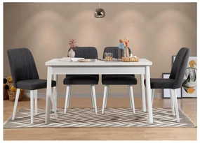Jedálenský set Bimuvo 5 (biela + antracit) (pre 4 osoby). Vlastná spoľahlivá doprava až k Vám domov. 1095063