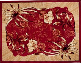 TA Koberec 4491A ČERVENÝ ATLAS PP Rozmer: 60x100 cm