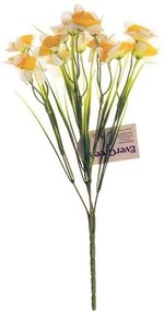 Narcis žlto-biely, kytica s 15 kvetmi, v. 32 cm
