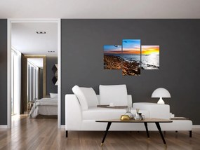 Obraz - Čajka letiaca nad pobrežím (90x60 cm)