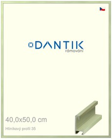DANTIK rám na obraz 40x50 | ALU Dýha barevná zelená pastel (Sklo Čiré)