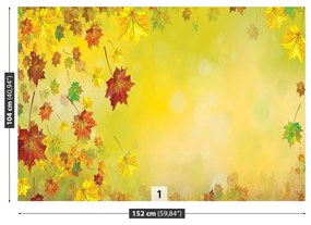 Fototapeta Vliesová Listy jeseň 104x70 cm