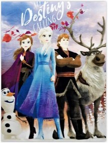 Detská fleecová deka Ľadové kráľovstvo - Frozen - motív My destiny’s calling - 100 x 140 cm