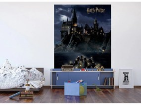 Detská fototapeta Harry Potter Hogwarts Night 182 x 252 cm, 4 diely